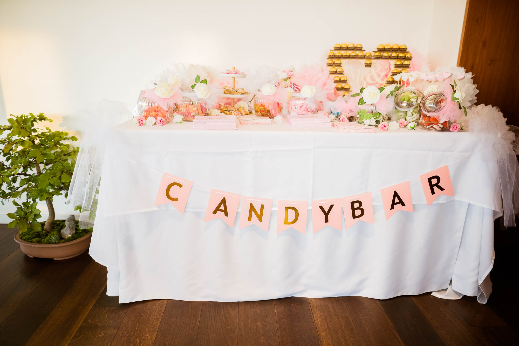 Export x3 1DX24642 Hochzeit 2020 Muriel & Trevor